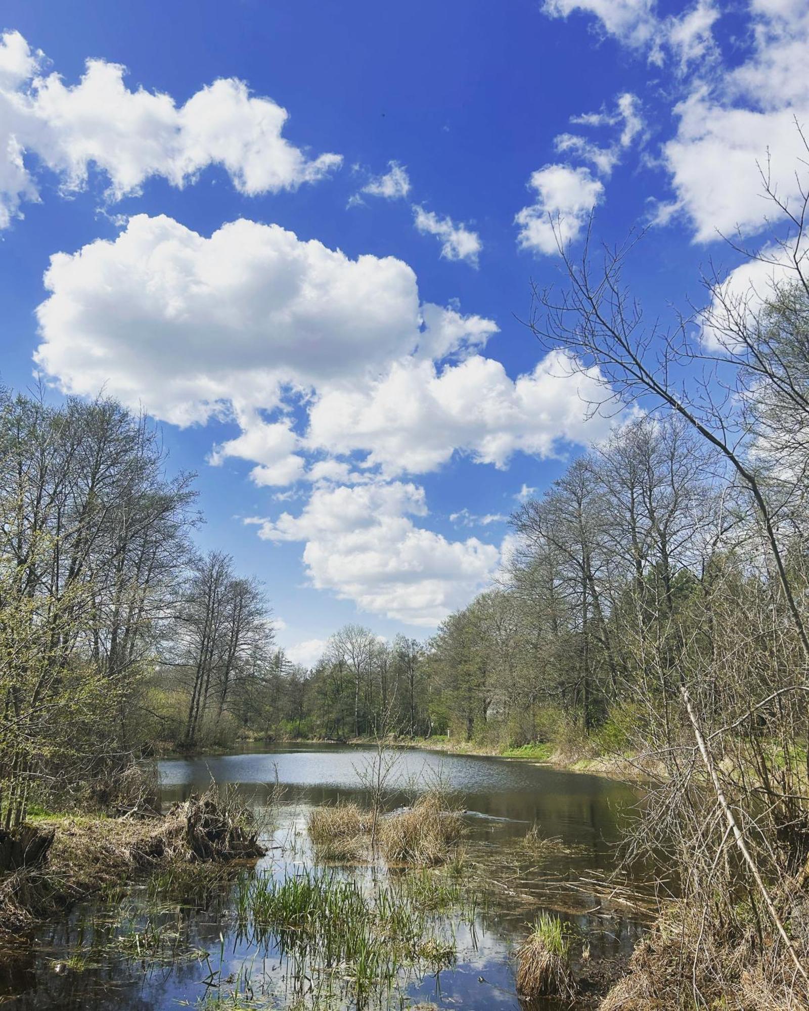 Masuria Warsaw Villa Skrzeszew Exteriör bild